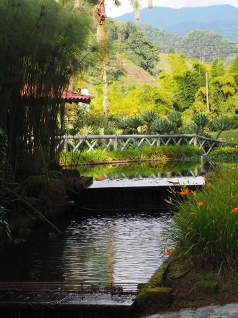 Finca Turistica De Alojamiento Rural Avalon Jardín Eksteriør billede